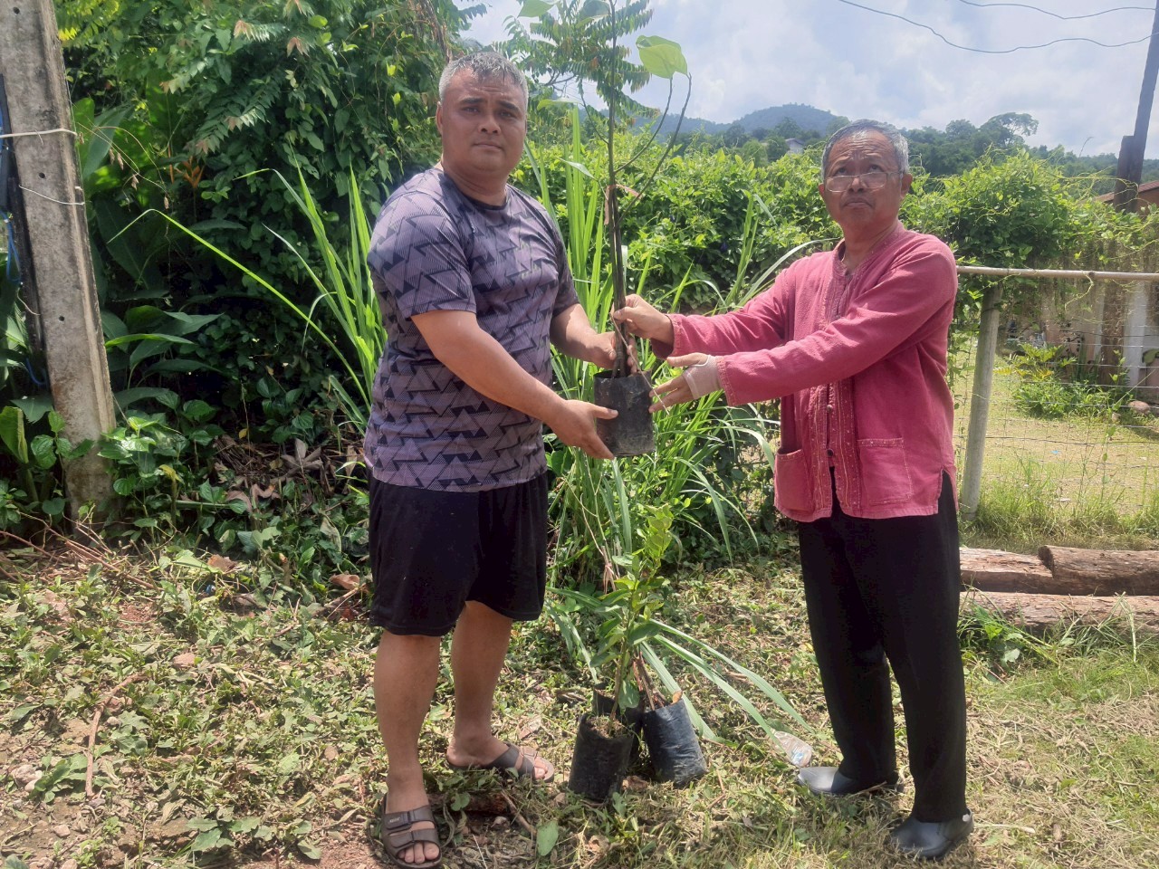 กิจกรรมแบ่งปันกล้าไม้ผลในแปลงโคก หนอง นา ของนายสินไชย  มโนฤทธิ์