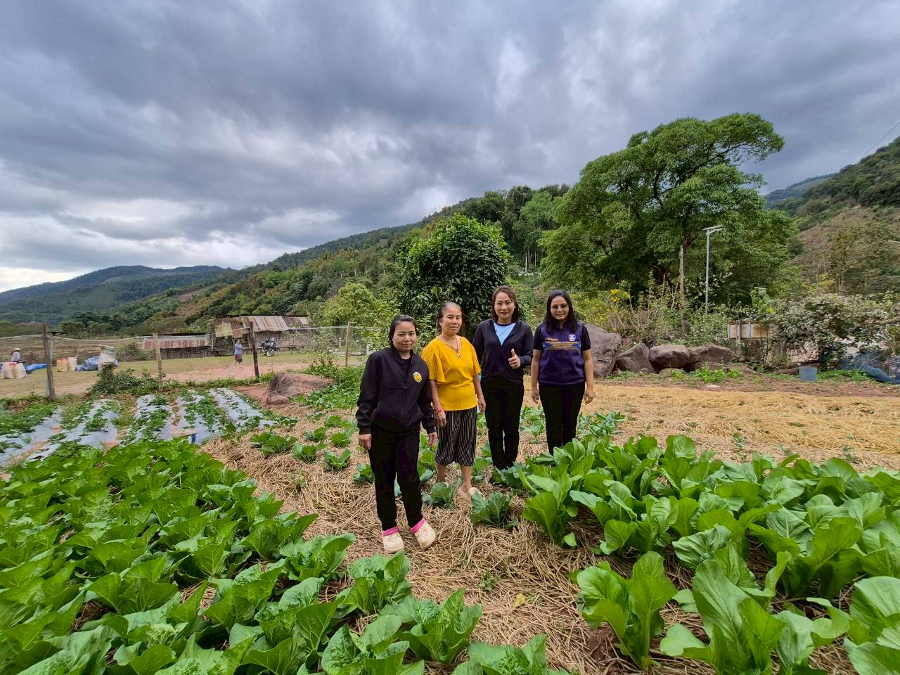 ปลูกผักสวนครัวเพื่อสร้างความมั่นคงทางอาหาร ปีะจำปีงบประมาณ พ.ศ.2569